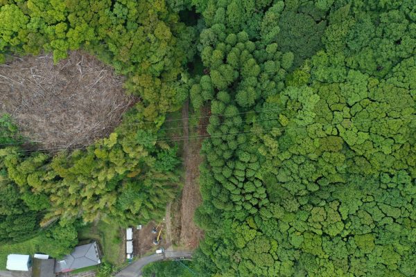 令和6年度林地荒廃防止事業　袴谷工区画像6